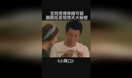 秘密跟踪在线观看,揭秘网络追踪背后的惊悚故事